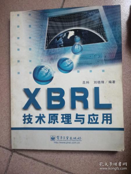 XBRL技术原理与应用