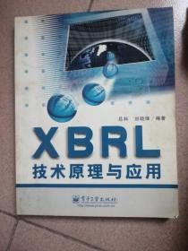 XBRL技术原理与应用