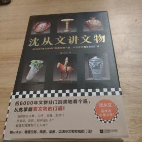 沈从文讲文物（近200张彩插！把6000年文物分门别类地看个遍，从此掌握看文物的门道！看懂玉器、陶瓷、漆器等文物的门道）