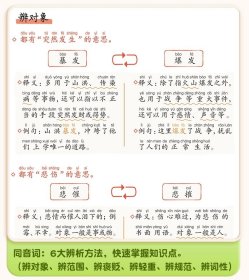 词语积累大全句式训练小学生语文基础知识强化专项练习手册