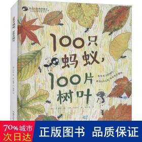 100只蚂蚁，100片树叶/亲近自然的孩子系列绘本