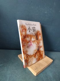 治愈系科普图鉴：小猫