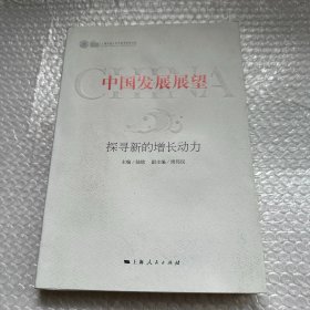 中国发展展望：探寻中国经济增长的新动力