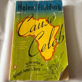 Helen Fielding海伦·菲尔丁"A wonderful surprise“一个惊喜