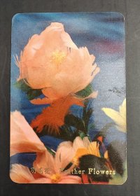 年历卡-1975年 羽毛花（中国土产畜产进出口公司江苏分公司）