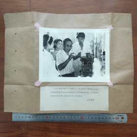 1985年，中科院发育生物学研究所研究员严绍颐（副所长，发育生物学家）