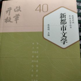 改革开放40年文学丛书（共20册）新都市文学