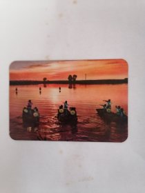 老年历片：1974年•曙光初照