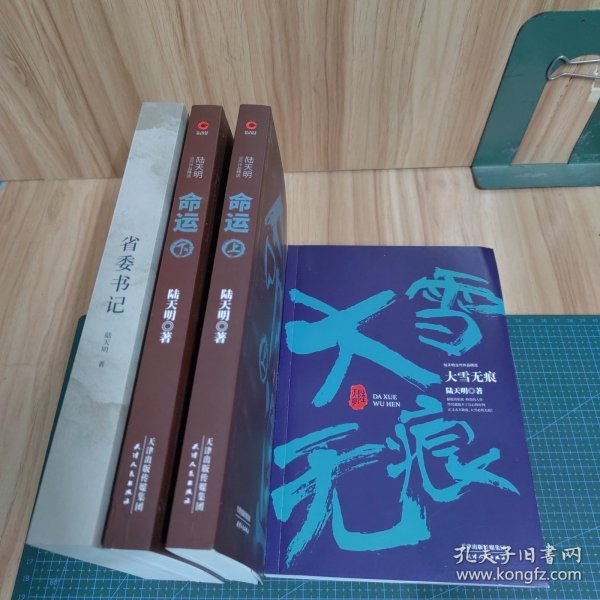 陆天明当代作品精选：命运（套装全2册）