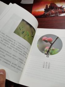 茶味初见