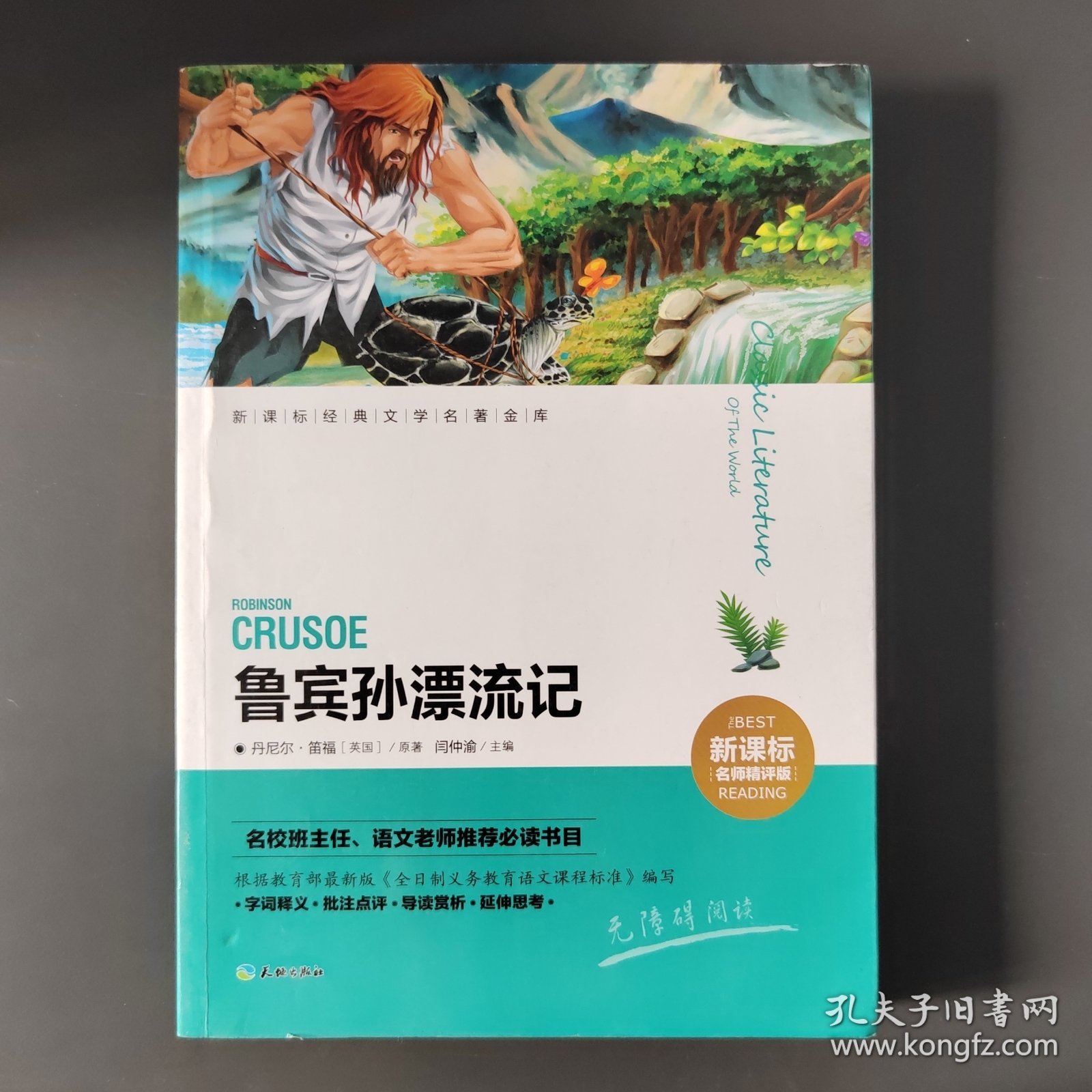 鲁宾孙漂流记