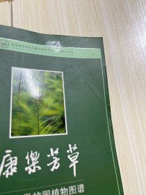 康乐芳草：中山大学校园植物图谱（第2版）