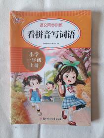 语文同步训练一年级上 全7册 小学生阅读理解 看图写话专项训练书 看拼音写词语课时作业本 字词句训练题 一年级上册阅读理解同步专项训练语文辅导练习册