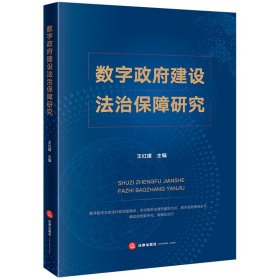 数字政府建设法治保障研究