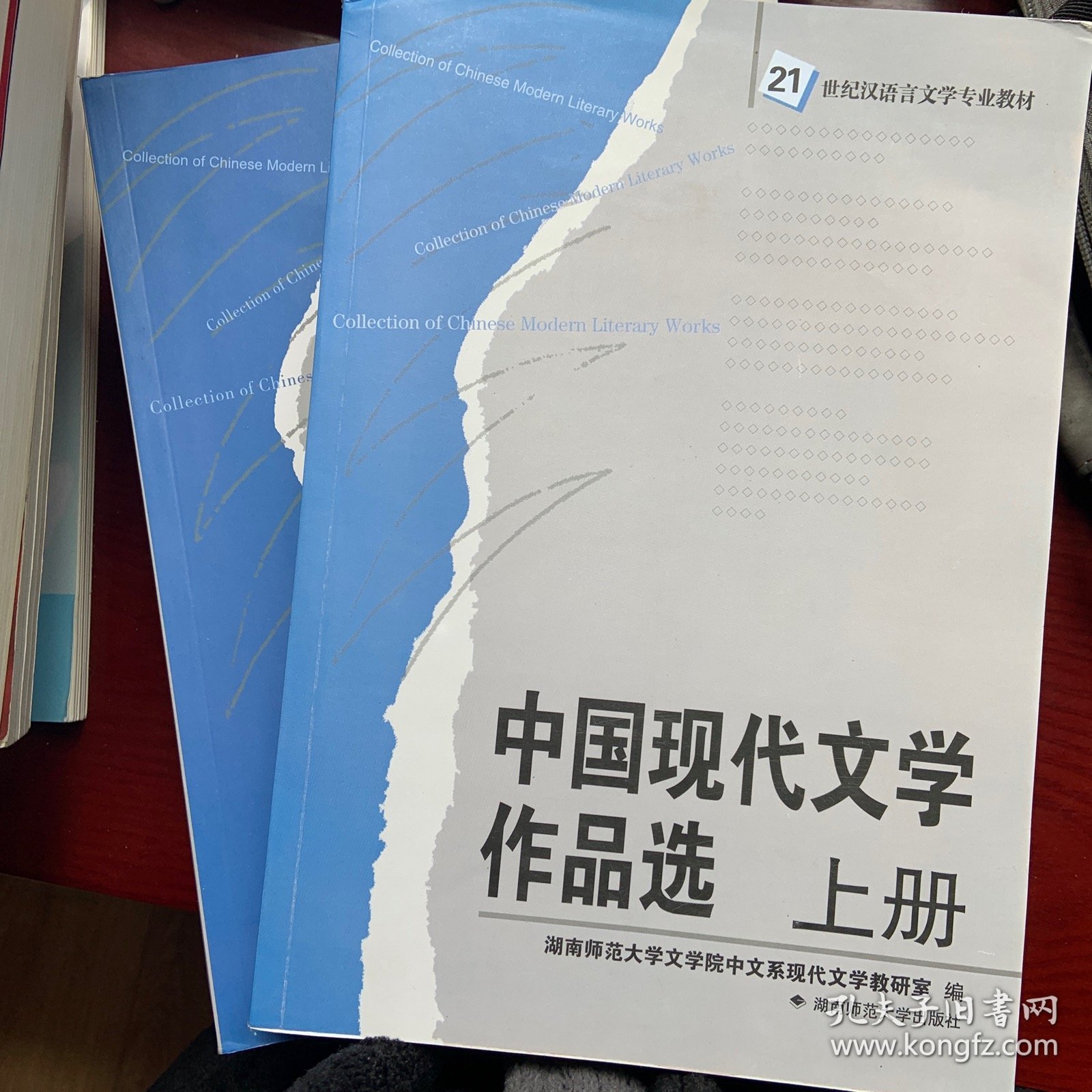 湖师大中国现代文学作品选上下819