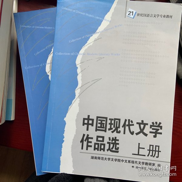 中国现代文学作品选