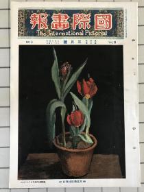 国际画报 1925.3