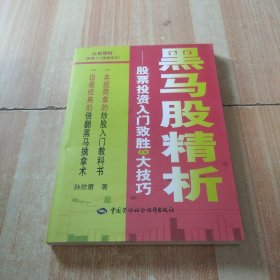 黑马股精析：股票投资入门致胜9大技巧