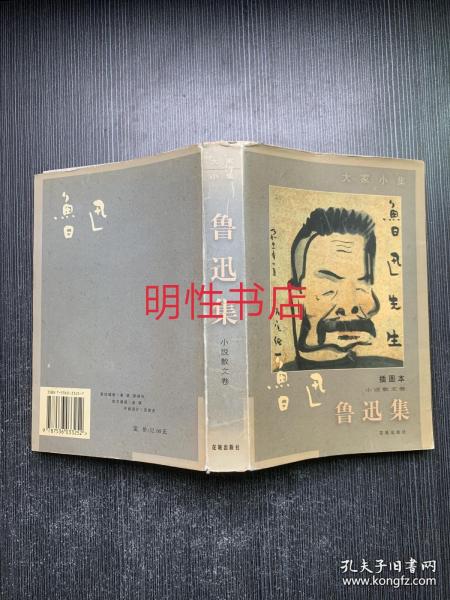 大家小集：鲁迅集.小说散文卷（插图本）