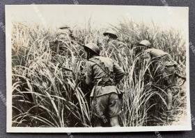 抗战时期 头戴英式钢盔的国军士兵埋伏在芦苇丛中 银盐老照片一枚