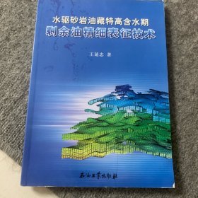 水驱砂岩油藏特高含水期剩余油精细表征技术