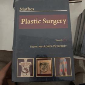 Mathes Plastic Surgery second edition（VOLUME6）