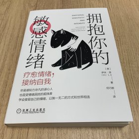 拥抱你的敏感情绪：疗愈情绪 接纳自我