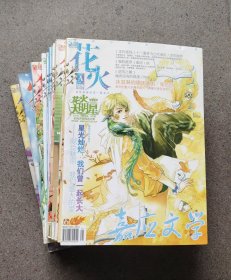 花火/嘉应文学 青春杂志18本合售