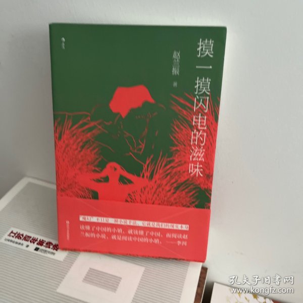 摸一摸闪电的滋味