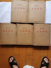 盲文版：恩格斯 反杜林论（1-5）