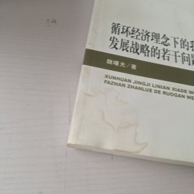 中青年经济学家文库：循环经济理念下的我国新兴能源发展战略的若干问题研究