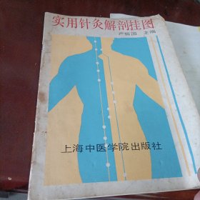 针灸穴位挂图说明、实用针灸解剖挂图