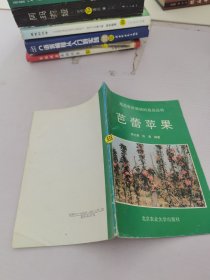 芭蕾苹果