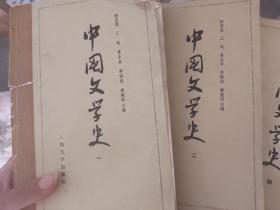 中国文学史1-4册