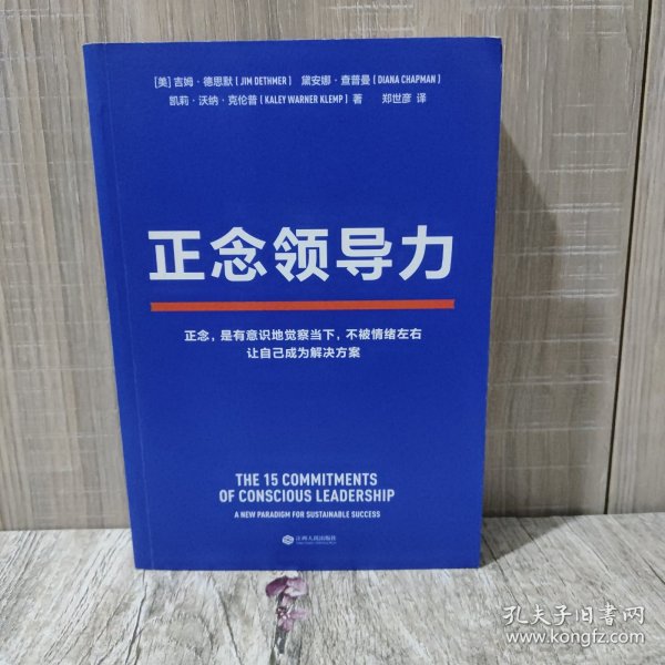 正念领导力（经纬中国创始合伙人邵亦波作序！一本从心出发的领导力之书！）