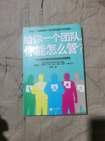 （正版如图无写划）给你一个团队，你能怎么管？