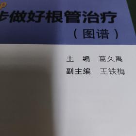 Step by Step-----一步一步做好根管治疗（图谱）（精）【主编钤印签赠本，店家保真。】