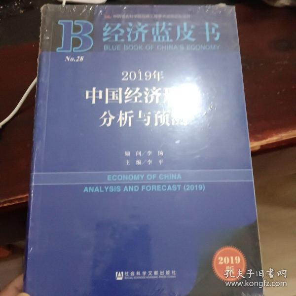 经济蓝皮书：2019年中国经济形势分析与预测