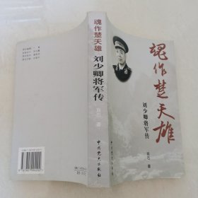 魂作楚天雄：刘少卿将军传