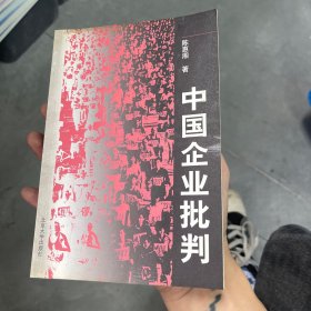 中国企业批判