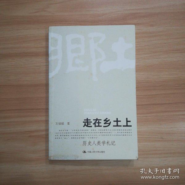 走在乡土上：历史人类学札记