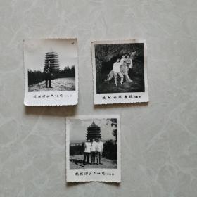 老照片：1976年杭州旅游景点留影照片3张。