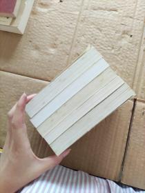 袖珍励志馆系列(人生战术游刃有余的交际艺术,超越自我完美人生的20条心理之路,挑战自我走出人生的12大误区,传承后世的修炼经典生活的艺术,积极生存的法则百事百通的生存之道)