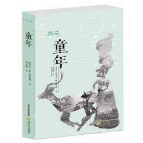 童年 （安哥拉）雅辛多·德·莱莫斯 9787537855907 北岳文艺出版社