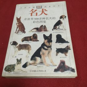 全世界300多种名犬的彩色图鉴