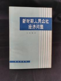 新时期人民公社经济问题