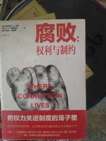 腐败：权力与制约