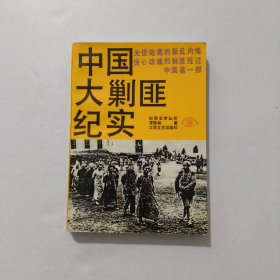中国大剿匪纪实 1991年
