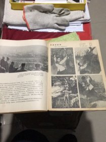 《美术 》1965年第二期