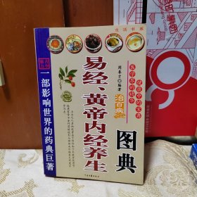 易经黄帝内经养生图典